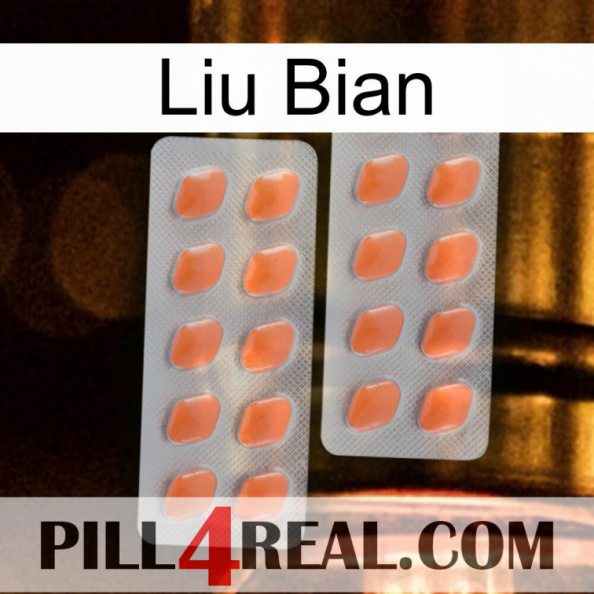 Liu Bian 27.jpg